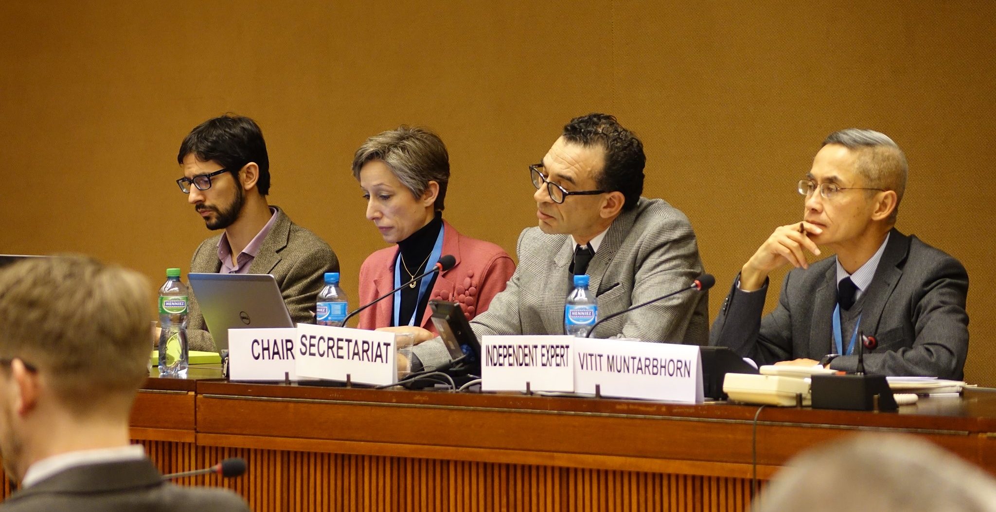 Intersex intervention at the public consultation convened by the UN Independent Expert on SOGI