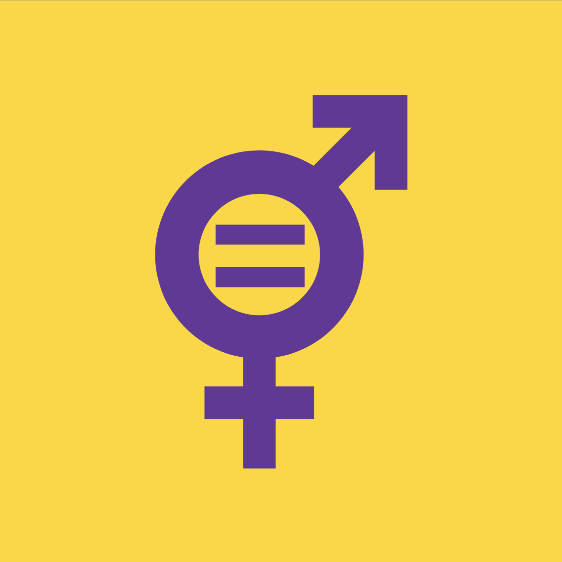 Guidelines for the promotion and implementation of gender equality