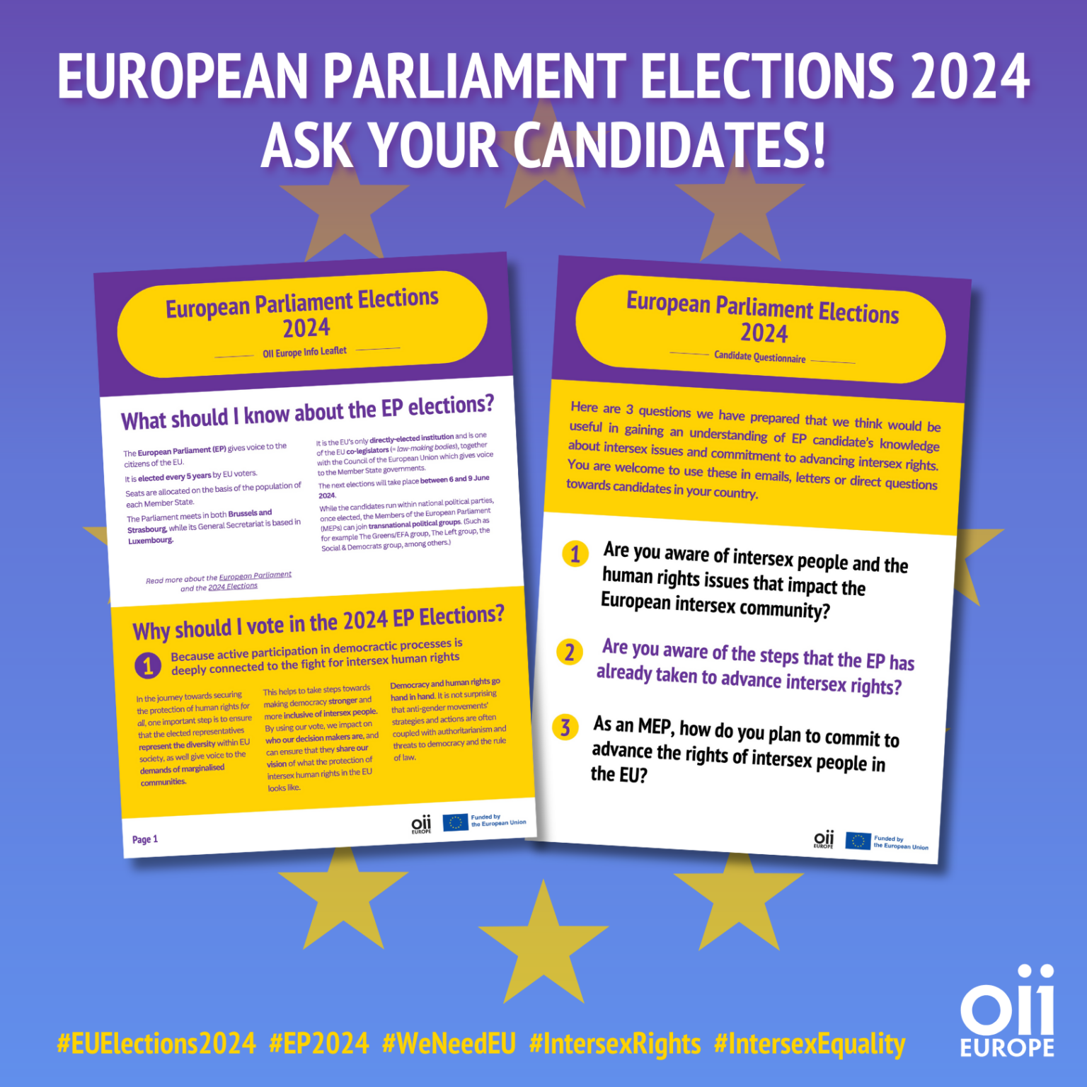 European Parliament Elections 2024 – OII Europe