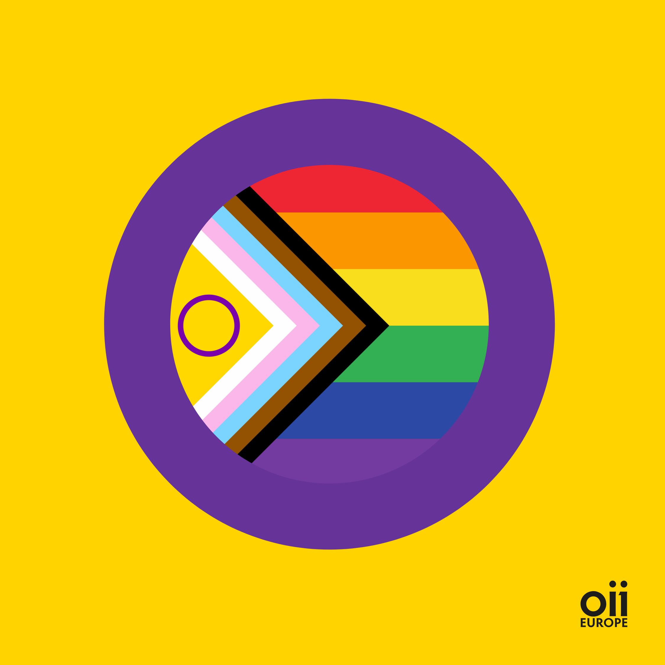 OII Europe Submission on the next EU LGBTIQ Equality Strategy